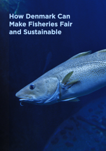  How Denmark Can Make Fisheries Fair and Sustainable