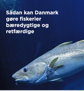 Ny rapport undersøger hvordan Danmark kan gøre fiskerier bæredygtige og retfærdige