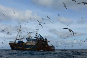 Seagulls Feed on By-catch From Trawler © Greenpeace / Christian Aslund