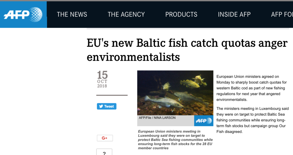 EU's new Baltic fish catch quotas anger environmentalists