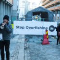 EU-Norway agreement the worst outcome for fish stocks in ten years