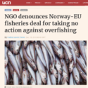 Undercurrent: NGO denounces Norway-EU fisheries deal for taking no action against overfishing