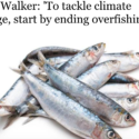 ‘To tackle climate change, start by ending overfishing’