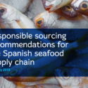 New roadmap targets responsible sourcing improvements in Spanish seafood industry