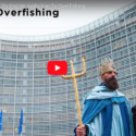 Euronews coverage of Our Fish event in Brussels, during Agrifish, December 17, 2018.