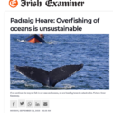 Irish Examiner: Overfishing of oceans is unsustainable