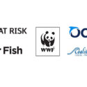 NGOs Welcome EU Fisheries Ministers Setting More Baltic Fishing Limits In Line with Science – But Ecological Crisis Not Averted