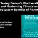 Video: Press Briefing on Saving Europe’s Biodiversity Starts in the Ocean – Report launch & response to EU Parliament Draft Report