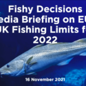 Fishy Decisions: Media Briefing on EU & UK Fishing Limits for 2022