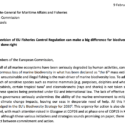 Call for Ambitious Revision of EU Fisheries Control Regulation to Protect Biodiversity and Climate