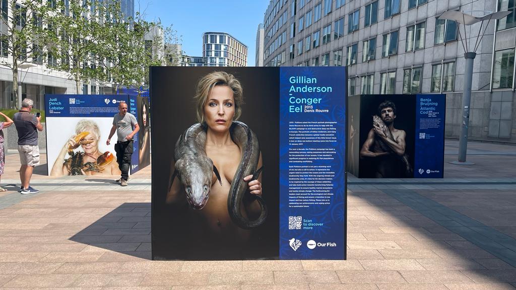 Gillian Anderson - Ending EU Overfishing: The Decade Past and the Decade to Come - Fishlove Exhibition in Brussels