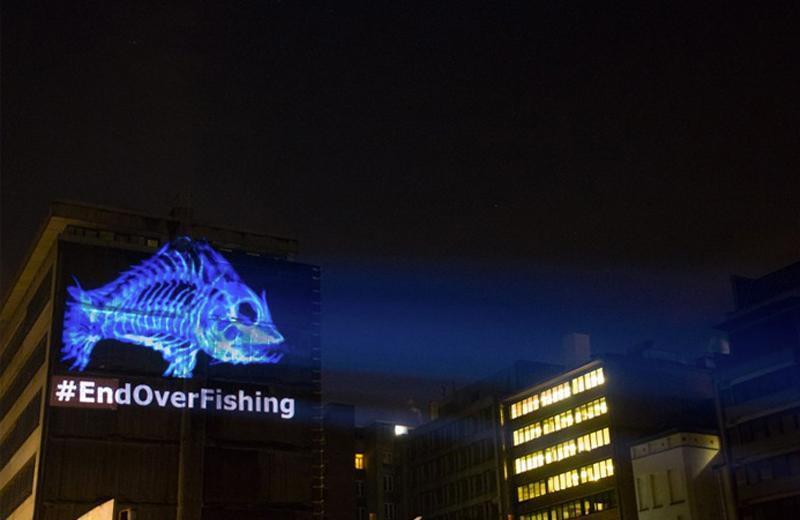 End Overfishing