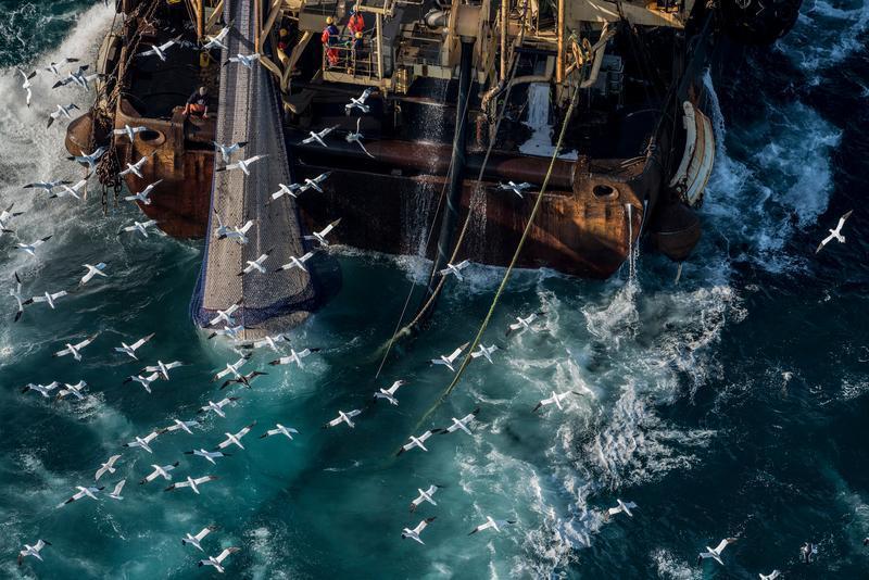 Fishing Activities in the English Channel
