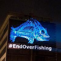 #EndOverfishing