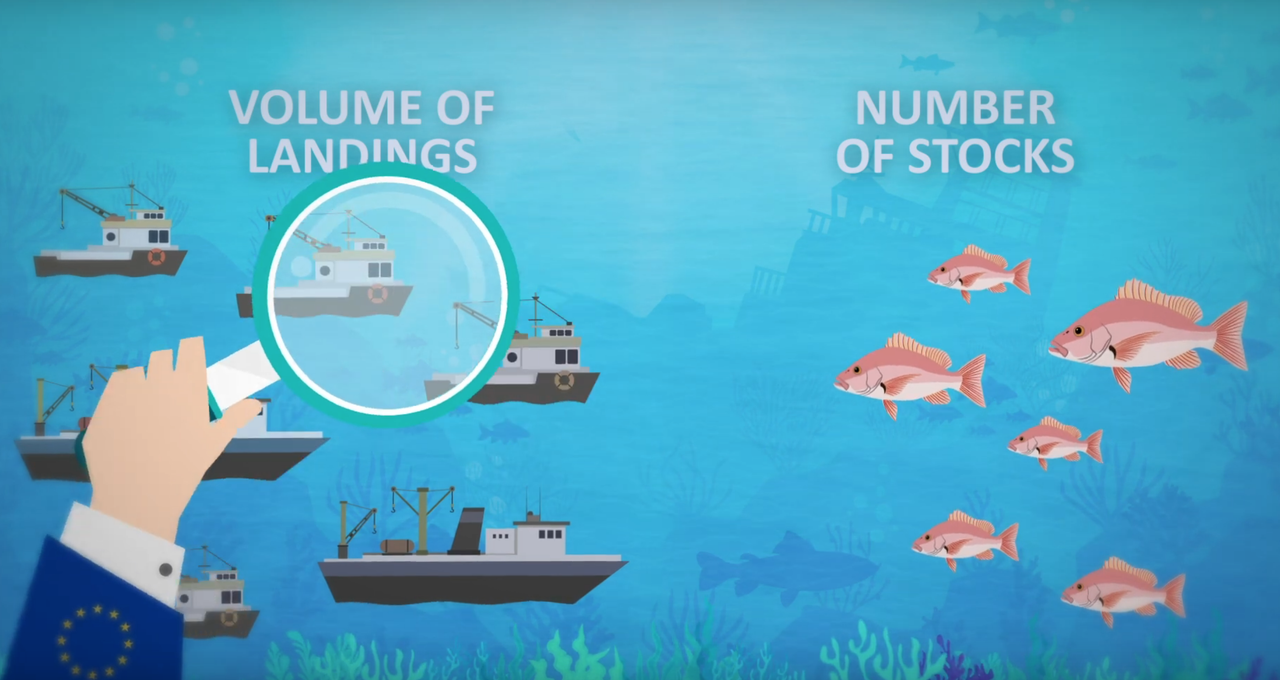 #EndOverfishing Don't Greenwash It