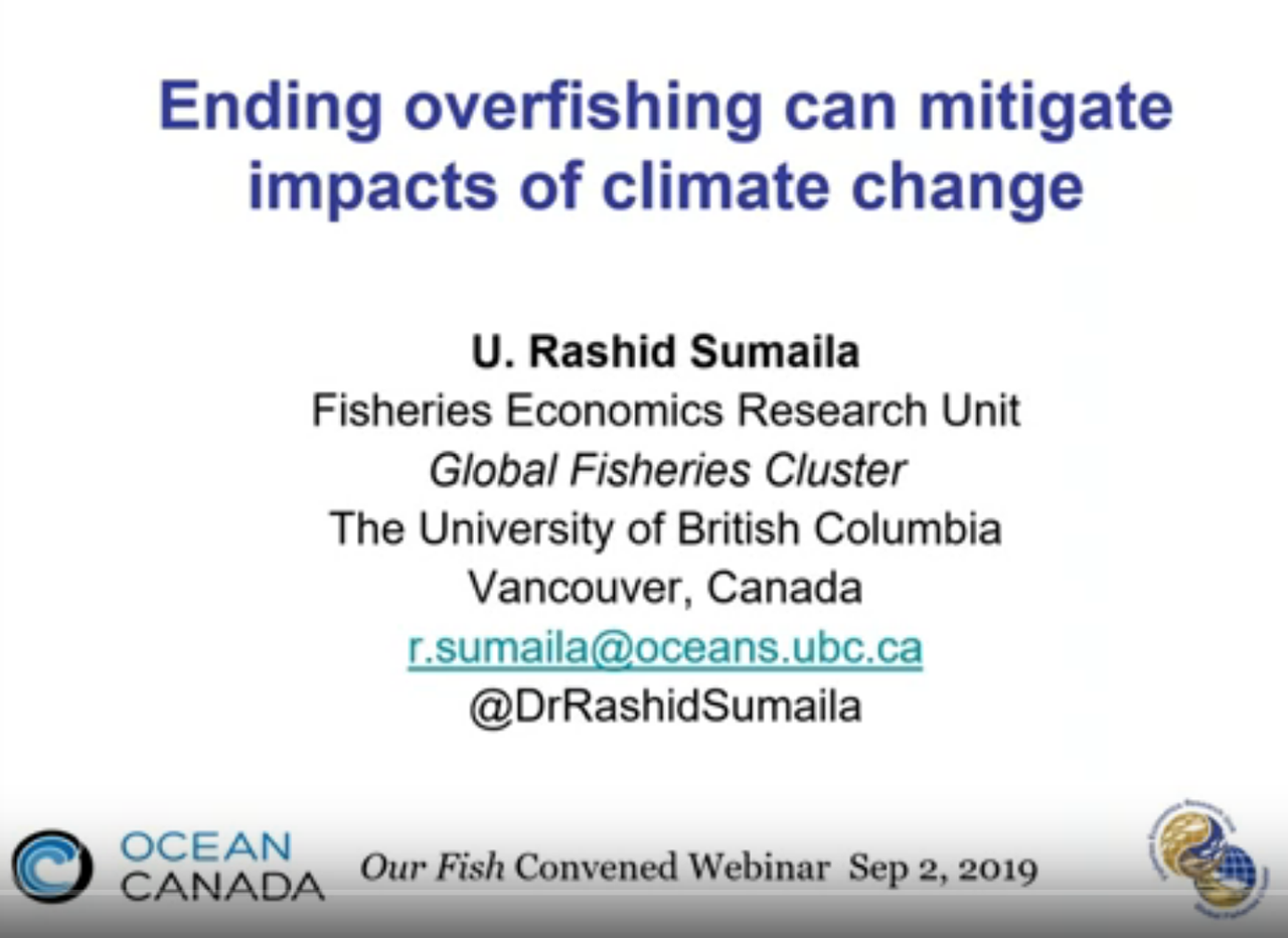 Ending Overfishing Is Opportunity to Combat Climate Crisis