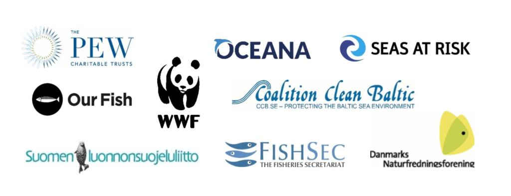 Joint NGO recommendations on Baltic Sea fishing opportunities for 2021