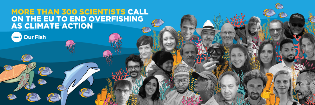 End Overfishing: 300 Scientists Urge EU To Protect Ocean Health As Climate Action