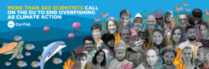 End Overfishing: 300 Scientists Urge EU To Protect Ocean Health As Climate Action