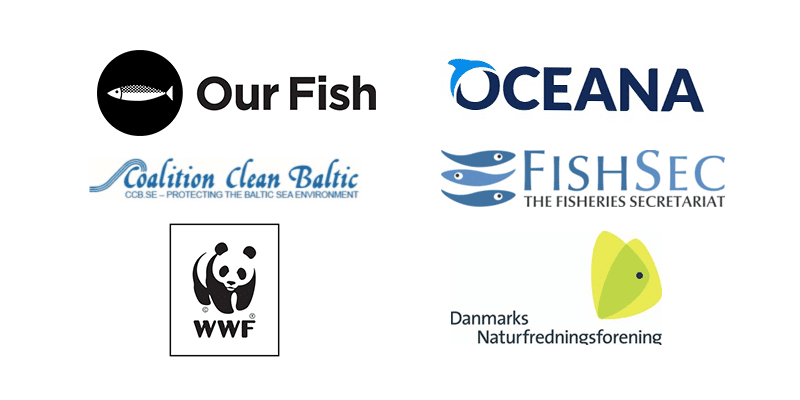 EU Must Respond to Baltic Sea Ecosystem and Fisheries Crash With Urgent, Radical Measures