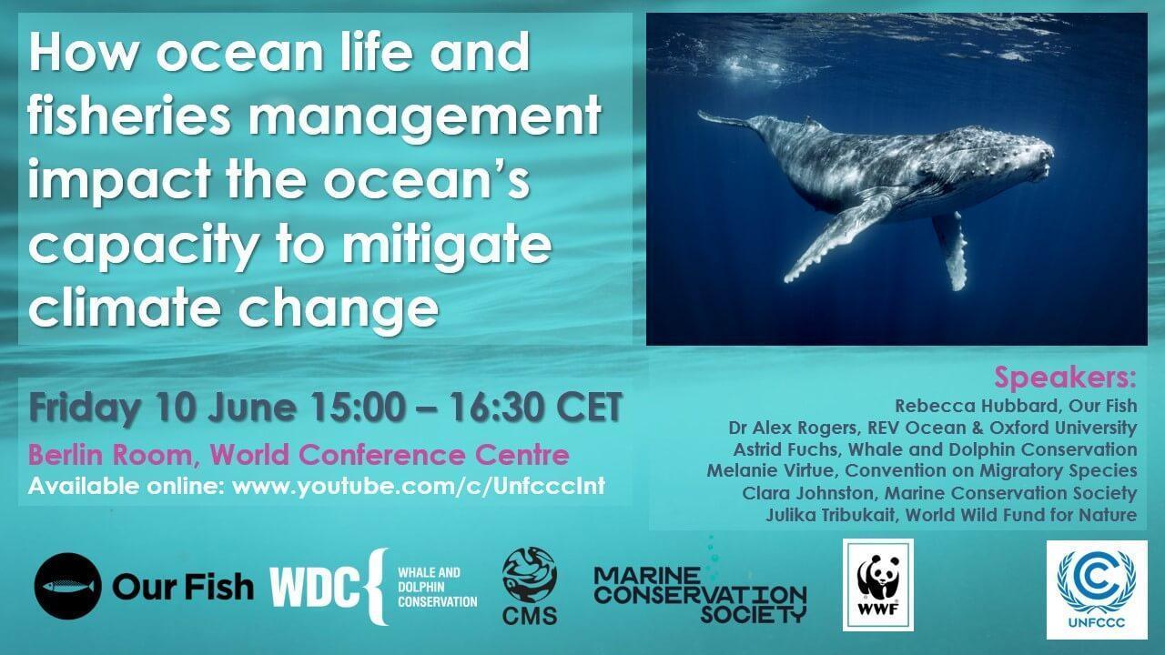 Bonn Climate Conference Event: How Ocean Life and Fisheries Management Impact the Ocean's Capacity to Mitigate Climate Change