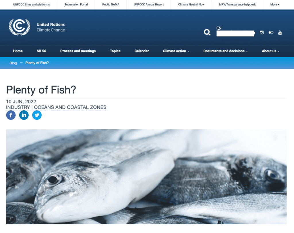 UNFCCC: Plenty of fish by Bec Hubbard