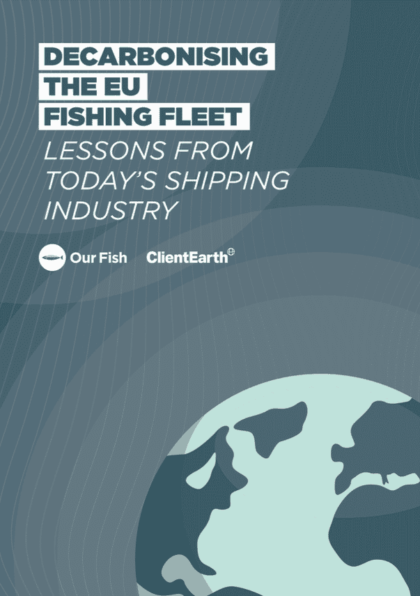 Decarbonising the EU Fishing Fleet. Lessons from Today's Shipping Industry