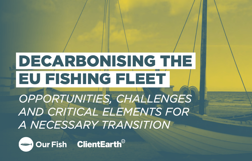 Decarbonising the EU Fishing Fleet. Opportunities, Challenges and Critical Elements for a Necessary Transition