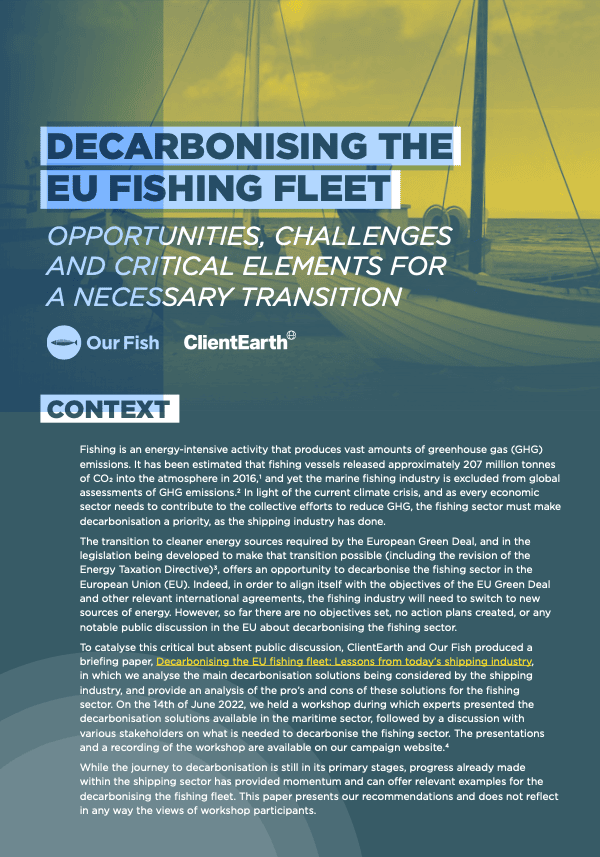 Decarbonising the EU Fishing Fleet. Opportunities, Challenges and Critical Elements for a Necessary Transition