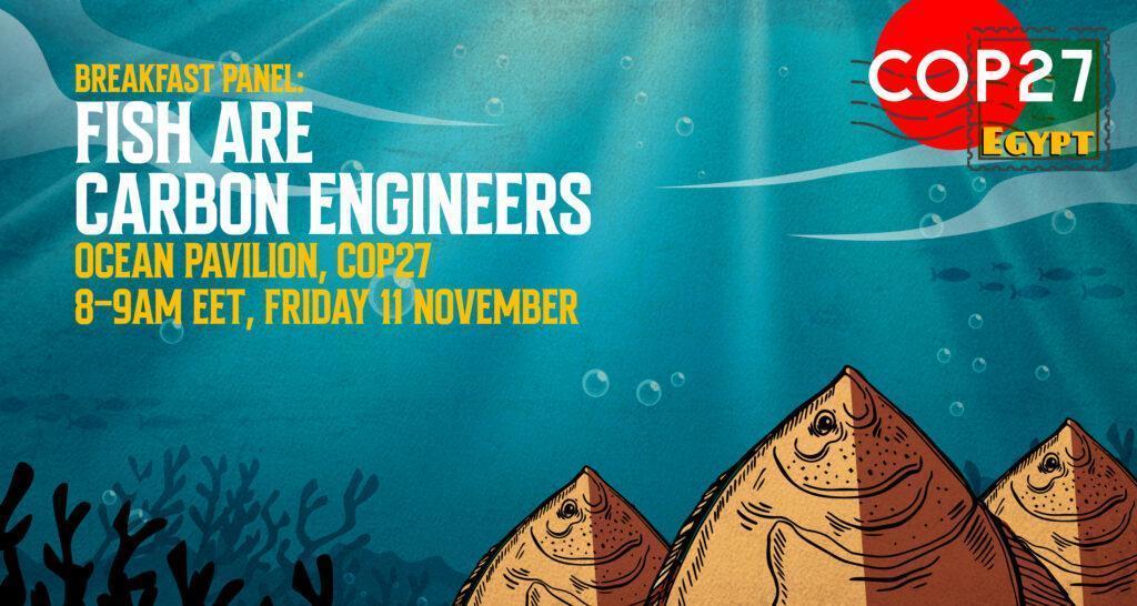 COP27 Side event: Fish are Carbon Engineers 11 November 2022