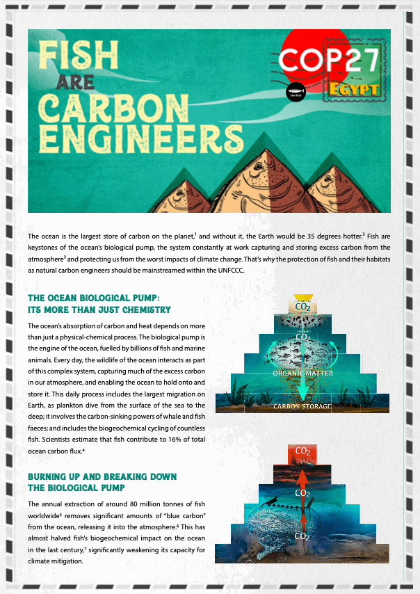 Fish are Carbon Engineers
