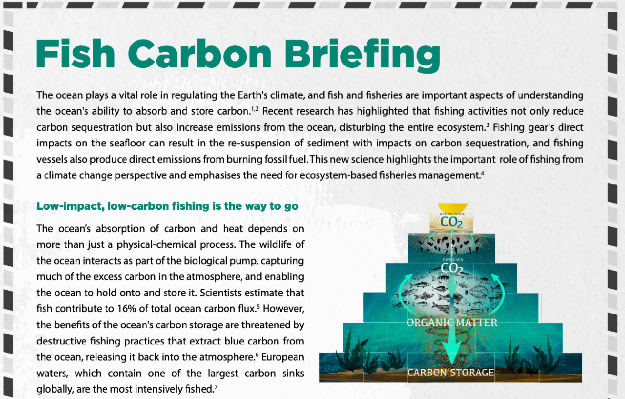 Ireland: Fish Carbon Briefing