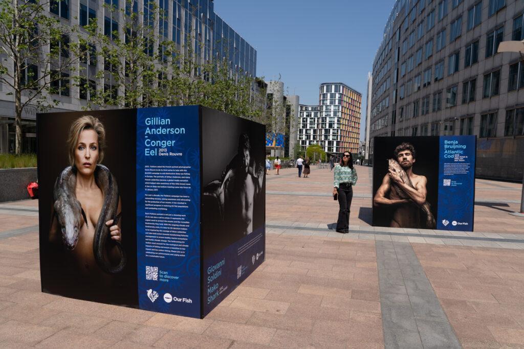 Ending EU Overfishing: The Decade Past and the Decade to Come – Fishlove Exhibition in Brussels