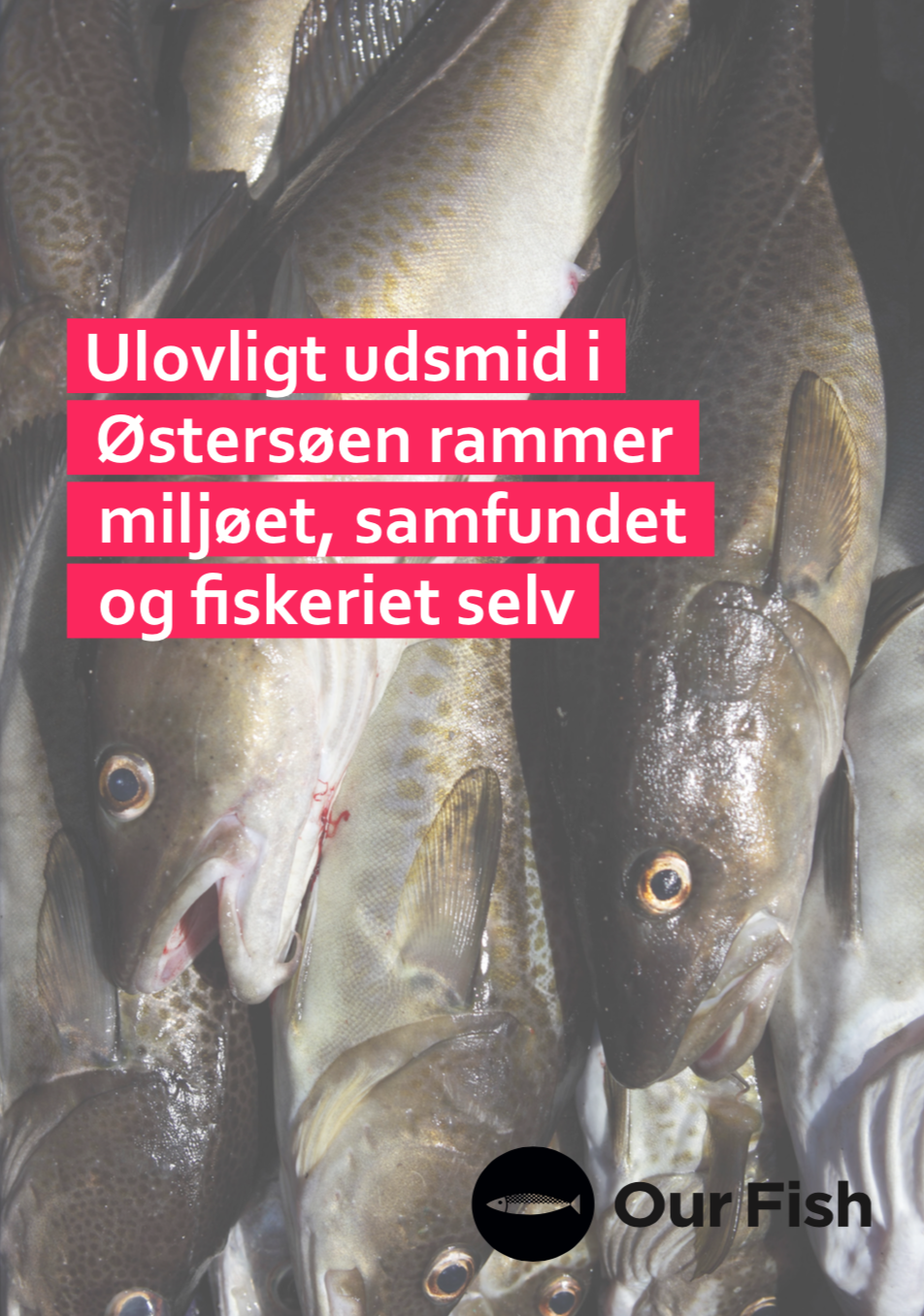 Ulovligt udsmid i Østersøen rammer miljøet, samfundet og fiskeriet selv