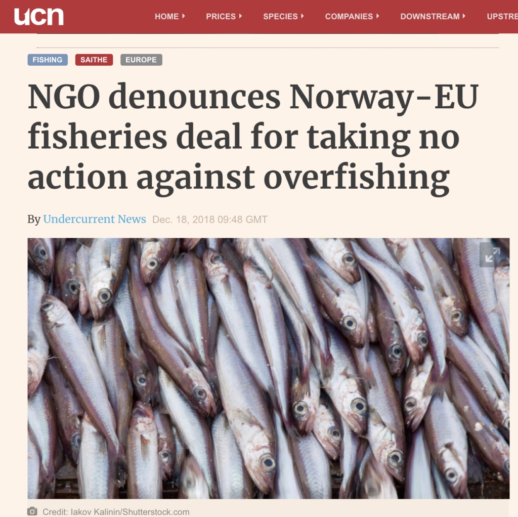 NGO denounces Norway-EU fisheries deal for taking no action against overfishing