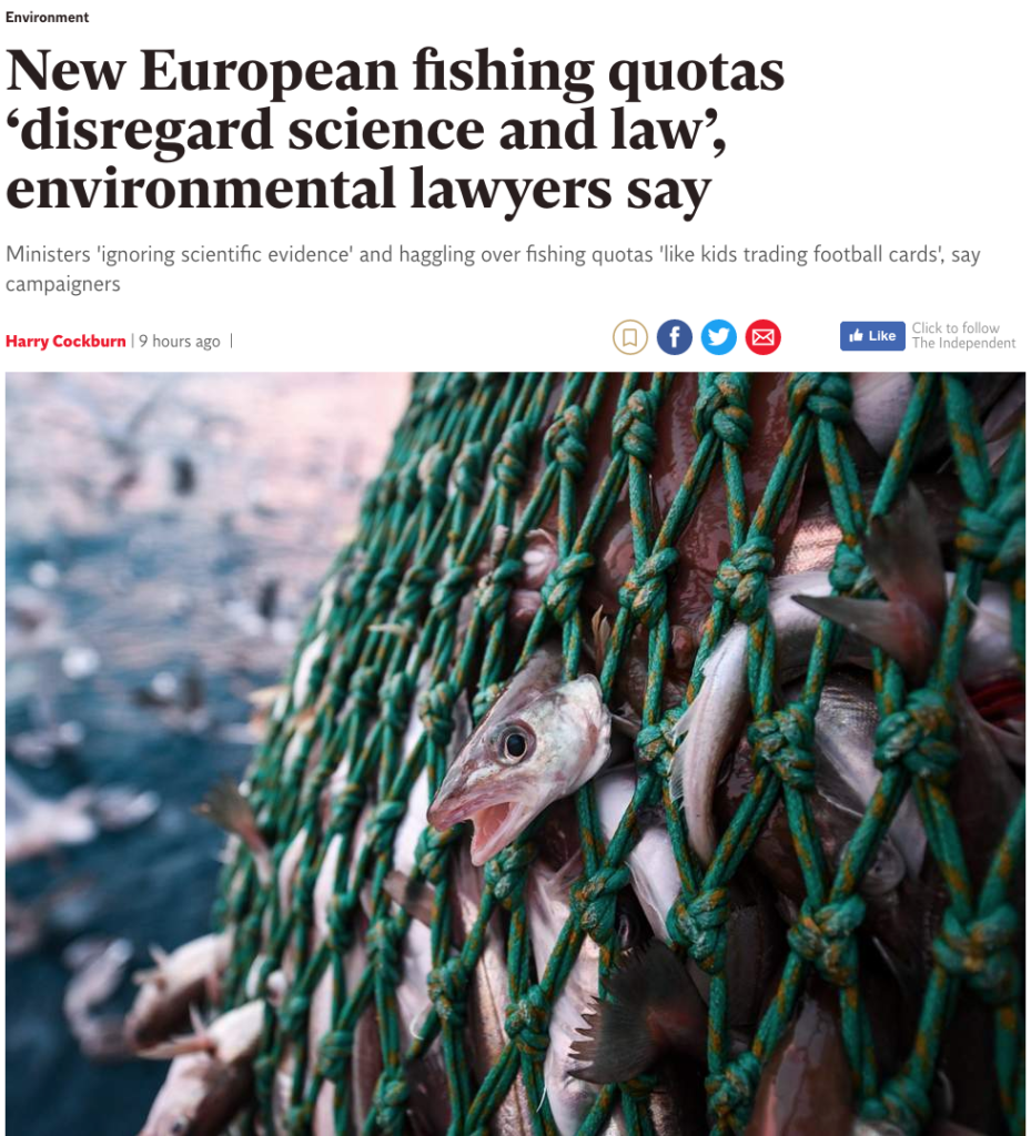 New European fishing quotas ‘disregard science and law’, environmental lawyers say