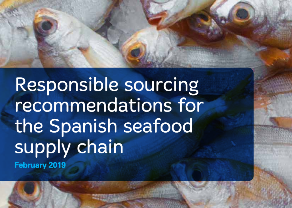 New roadmap targets responsible sourcing improvements in Spanish seafood industry