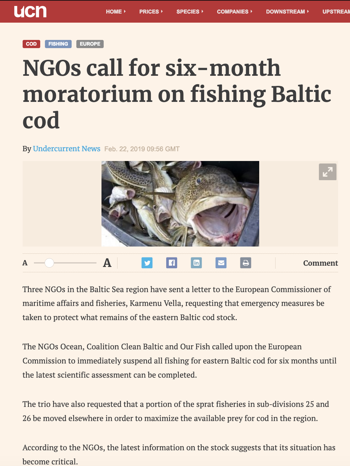 NGOs call for six-month moratorium on fishing Baltic cod