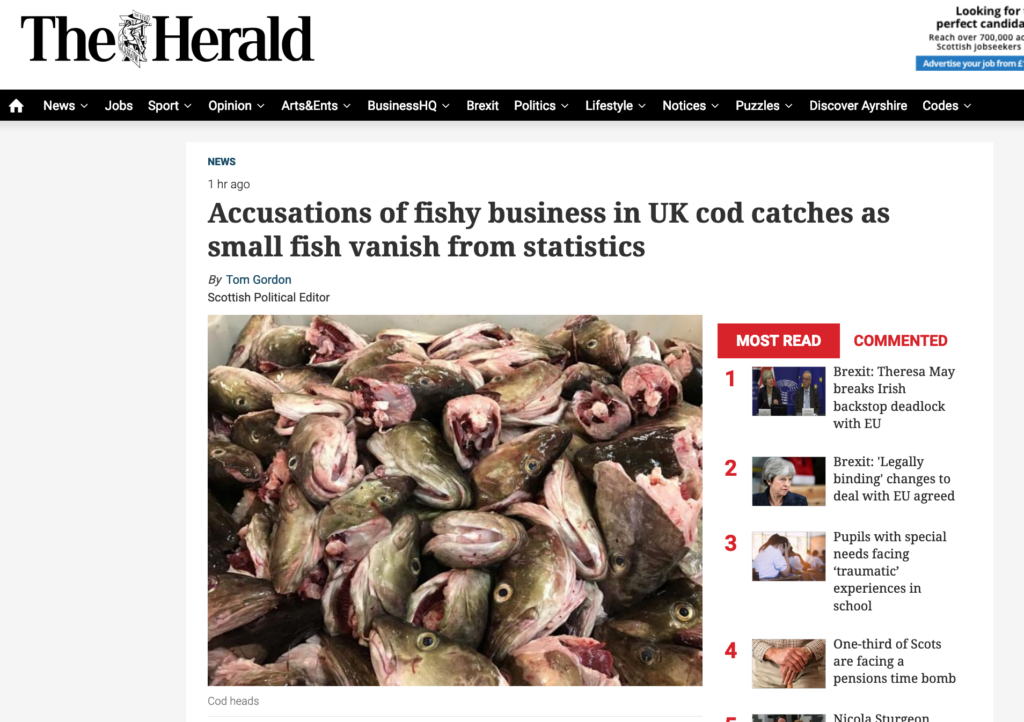 Accusations of fishy business in UK cod catches as small fish vanish from statistics
