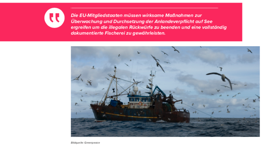 Illegale Fischrückwürfe in der EU: Kontrolle durch „Digitale Fischereibeobachter“ rechtlich möglich