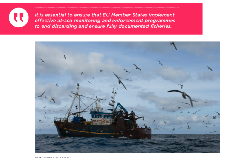 New Report Shows Ending EU Overfishing and Protection of Privacy Achievable With Remote Electronic Monitoring