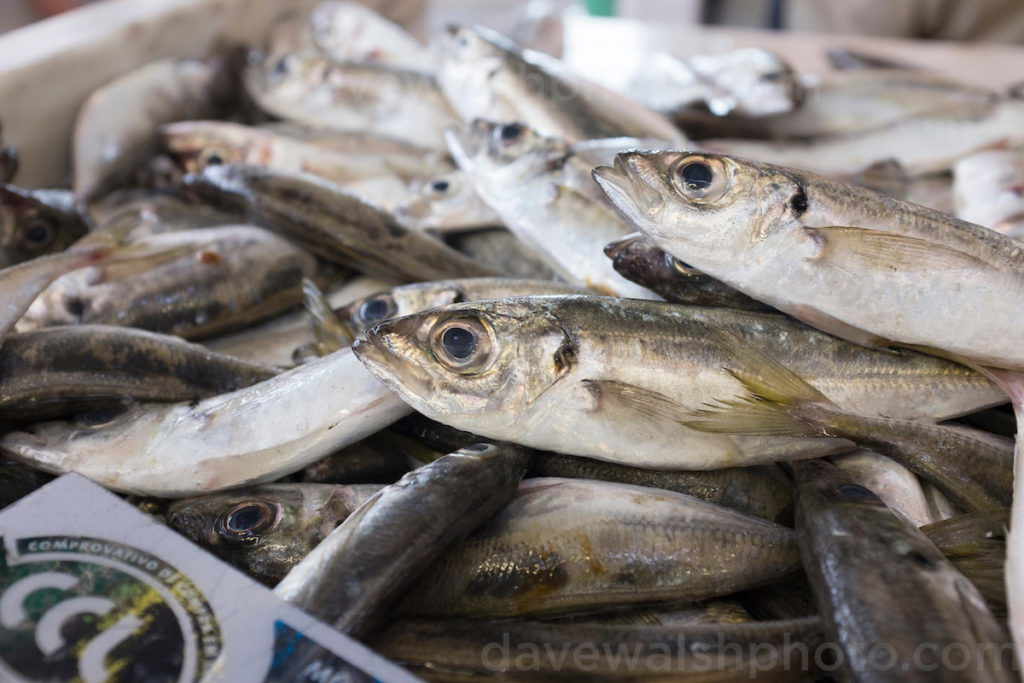 Sardines for sale - Vila do Bisbo, Algarve, Portugal. Photo: davewalshphoto.com
