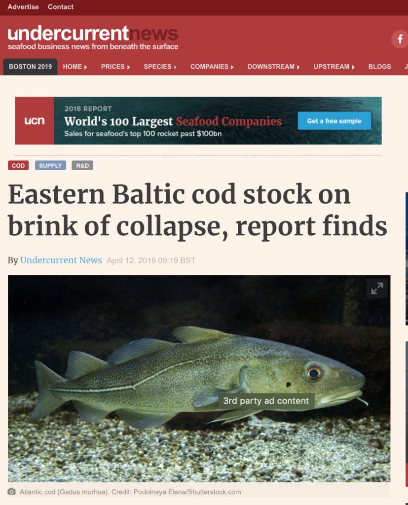 "Eastern Baltic cod stock on brink of collapse, report finds "