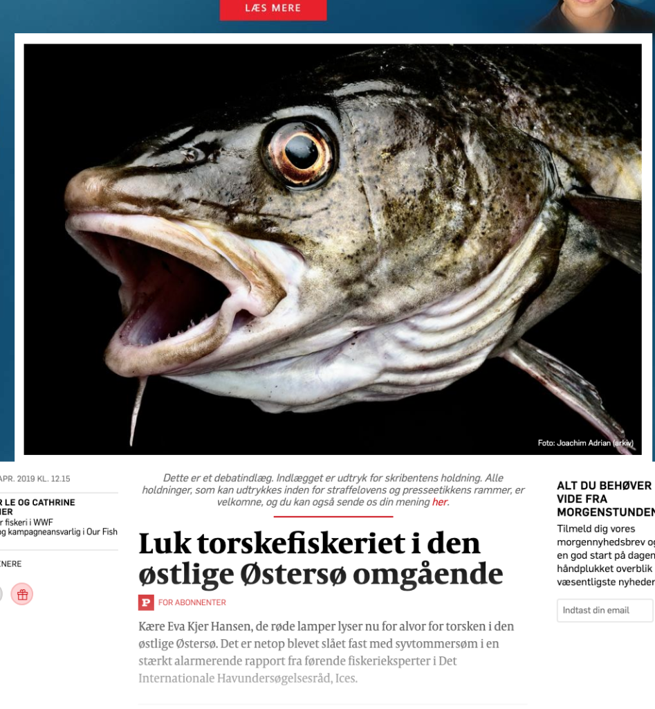 Luk torskefiskeriet i den østlige Østersø omgående