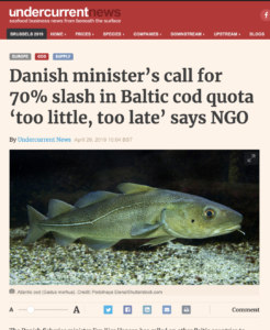 Danish minister’s call for 70% slash in Baltic cod quota ‘too little, too late’ says NGO