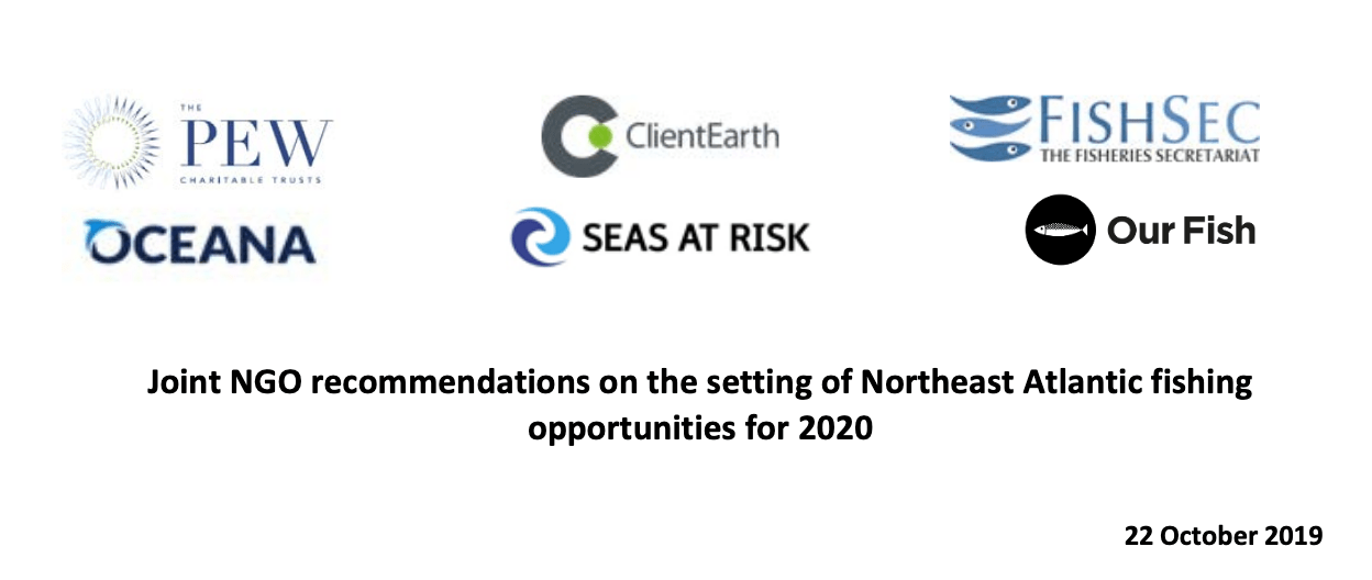Joint NGO recommendations on the setting of Northeast Atlantic fishing opportunities for 2020