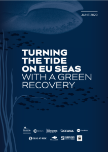 Turning the Tide on EU Seas with a Green Recovery