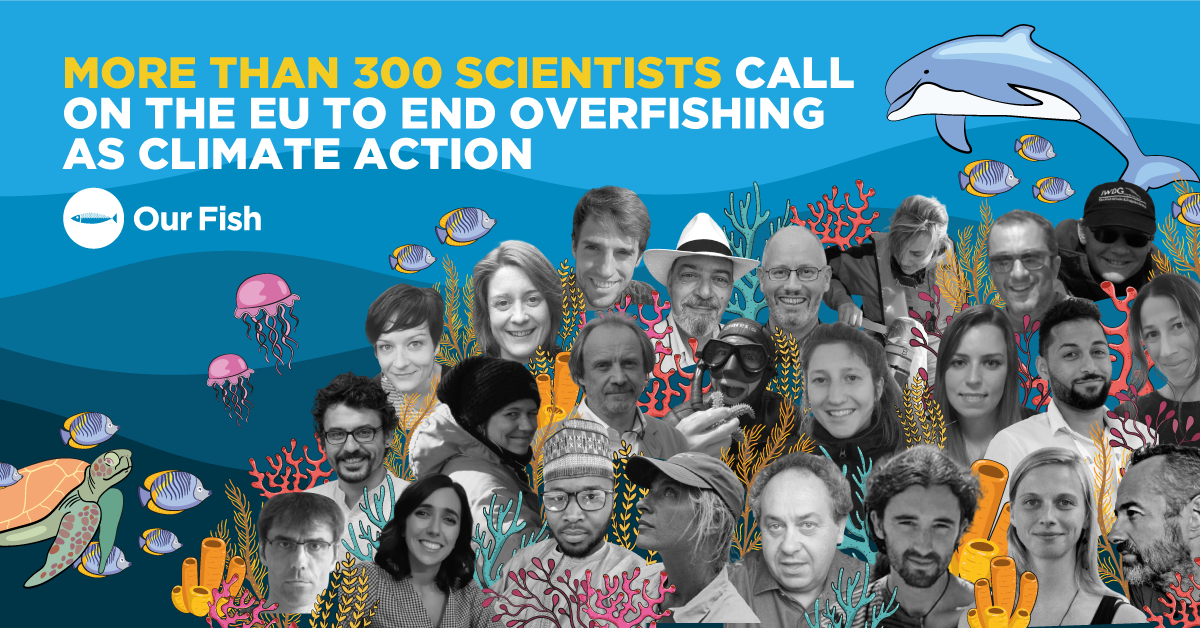 https://our.fish/news/ending-overfishing-is-climate-action-scientist-statement-of-support/
