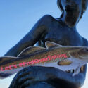 The Little Mermaid, Copenhagen, Denmark - #endoverfishing