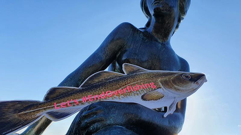 The Little Mermaid, Copenhagen, Denmark - #endoverfishing